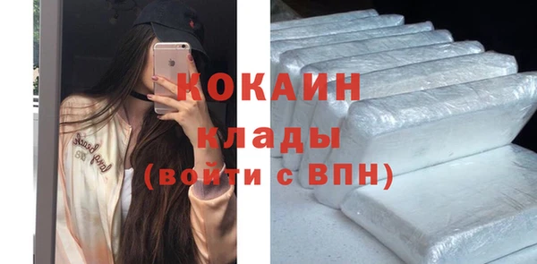 индика Армянск