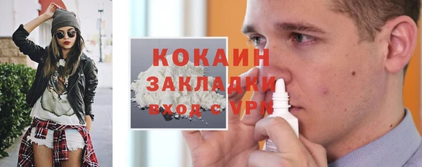 молекула духа Арсеньев