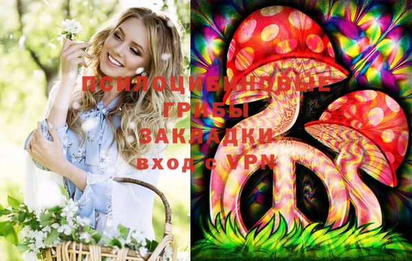 индика Армянск