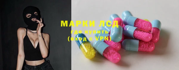 молекула духа Арсеньев