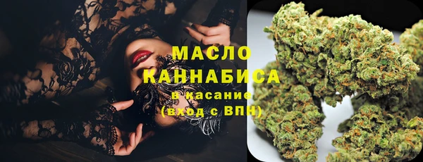 молекула духа Арсеньев