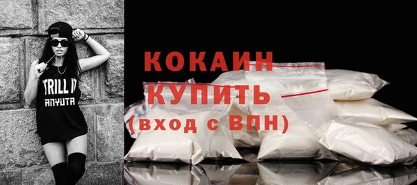 молекула духа Арсеньев