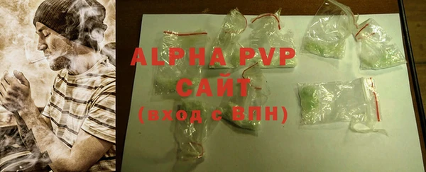 молекула духа Арсеньев