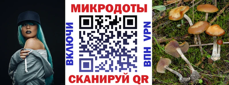 shop наркотические препараты  Иланский  Галлюциногенные грибы MAGIC MUSHROOMS 